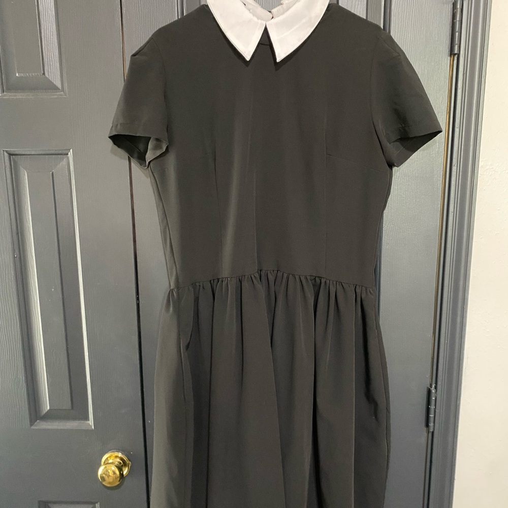 Black A-Line Dress with Flutter Sleeves and Peter Pan Collar